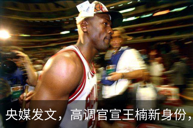 央媒发文，高调官宣王楠新身份，资产查封被带走调查传闻早有真相