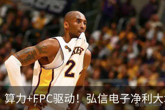 算力+FPC驱动！弘信电子净利大增139%，股价较年内高点回撤超40%