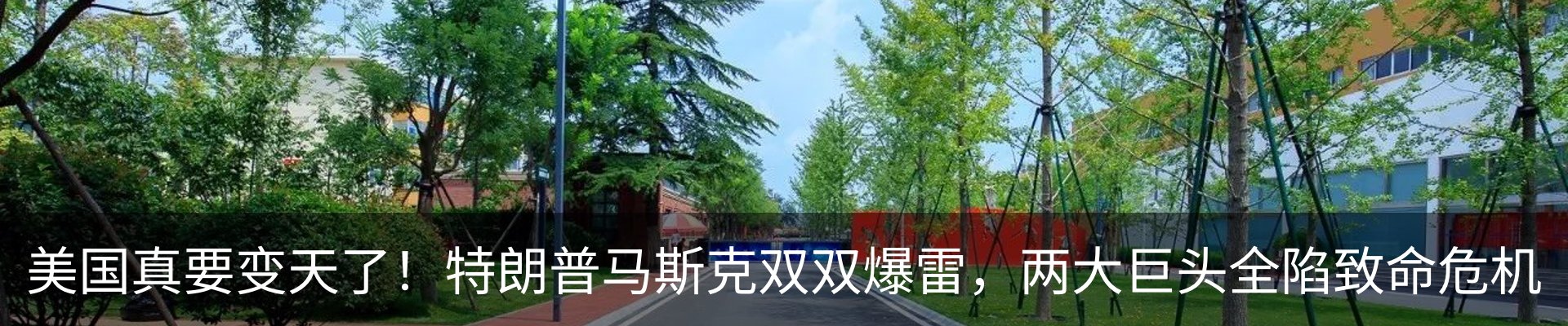 行业资讯